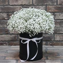 Цветочная композиция из Гипсофила в шляпной коробке #REPLACE_PRED# Тарбагатае Республики Бурятия