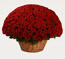 Премиум букет из: Розы в Тарбагатае Республики Бурятия